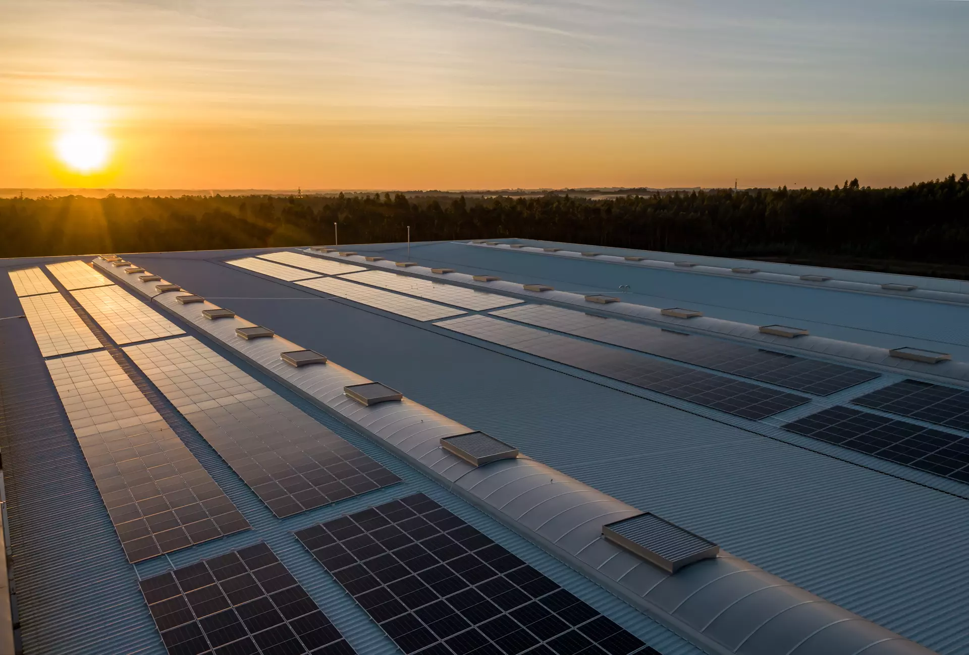 LEMAN is expanding green efforts with large solar system